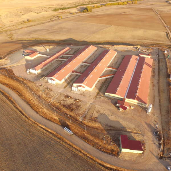 Vista aérea de Grangenia, del grupo Kerbest