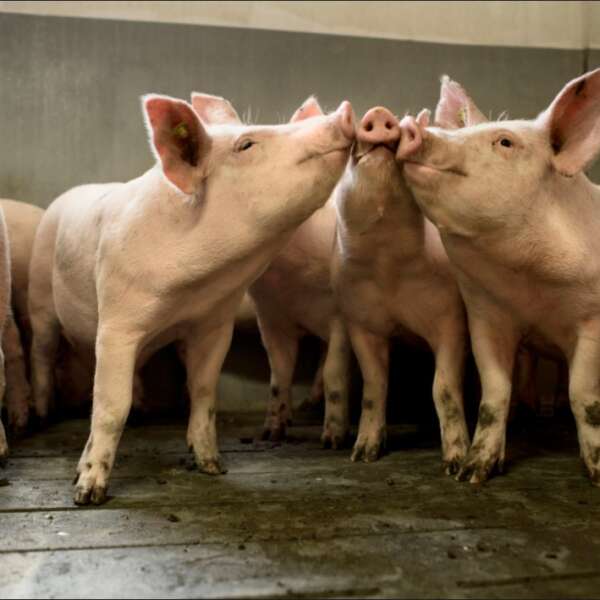 ¿QUIERES FORMAR PARTE DEL EQUIPO HUMANO DE KERBEST?