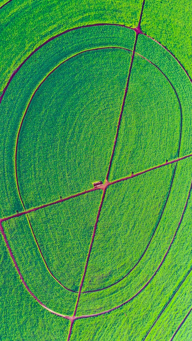 biofertilizantes de precisión