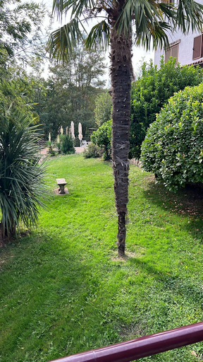 Venero Claro jardines (22)